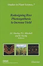 REDESIGNING RICE PHOTOSYNTHESIS TO INCREASE YIELD (HB) 