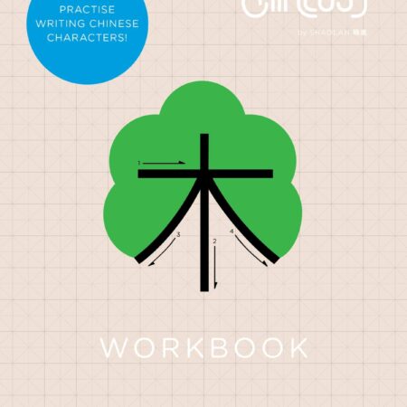 CHINEASY WORKBOOK (PB) 