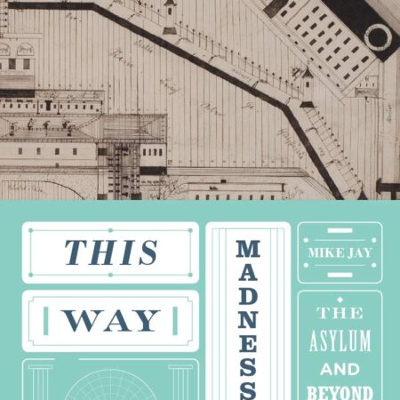 THIS WAY MADNESS LIES THE ASYLUM AND BEYOND (HB) 
