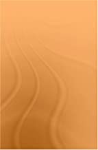 NEW FOURTH ARMY: COMMUNIST RESISTANCE ALONG THE YANGTZE AND THE HUAI 1938-1941