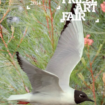 FRIEZE NEW YORK CATALOGUE 2014 (PB) 