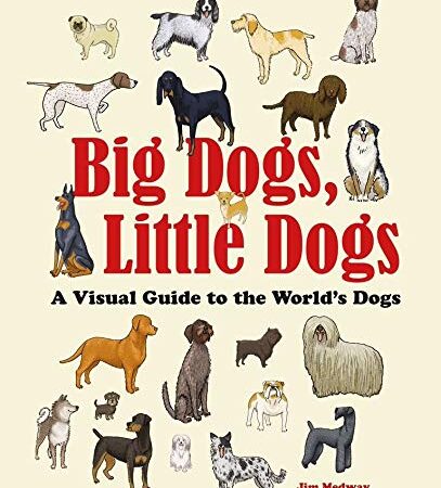 BIG DOS LITTLE DOGS A VISUAL GUIDE TO THE WORLDS DOGS (HB) 