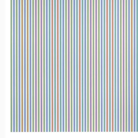BRIDGET RILEY THE STRIPE PAINTINGS 1961 2014 (HB) 
