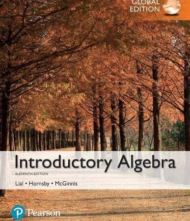 INTRODUCTORY ALGEBRA 11/E (PB)