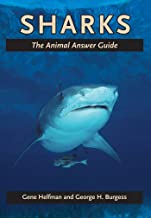 SHARKS: THE ANIMAL ANSWER GUIDE (PB) 