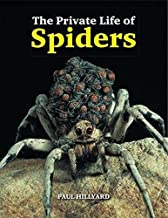 THE PRIVATE LIFE OF SPIDERS (HB) 