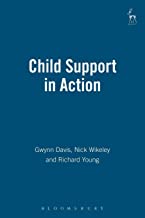 CHILD SUPPORT IN ACTION (PB) 