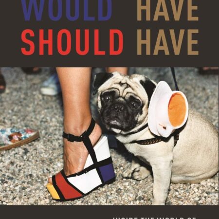 COULD HAVE WOULD HAVE SHOULD HAVE INSIDE THE WORLD OF THE ART (HB) 