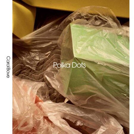 CAROL BOVE POLKA DOTS (HB) 