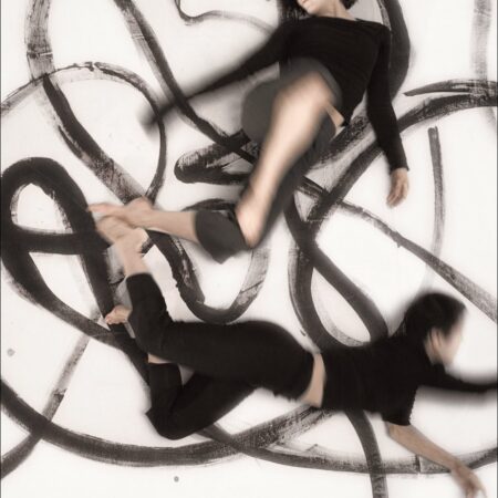 THE POWER OF LINE LINEA III (HB) 